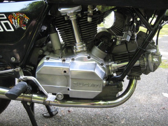 1981 Ducati Darmah R Side Engine